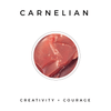 CARNELIAN - NOGU.studio